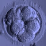 Dansk Fertilitetsklinik